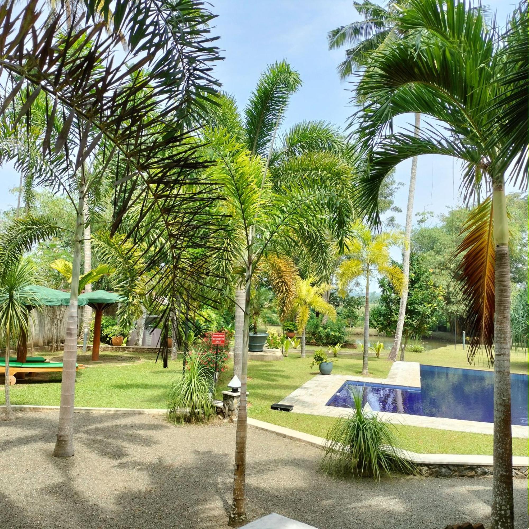 Avalon Village Resort Индурува Екстериор снимка